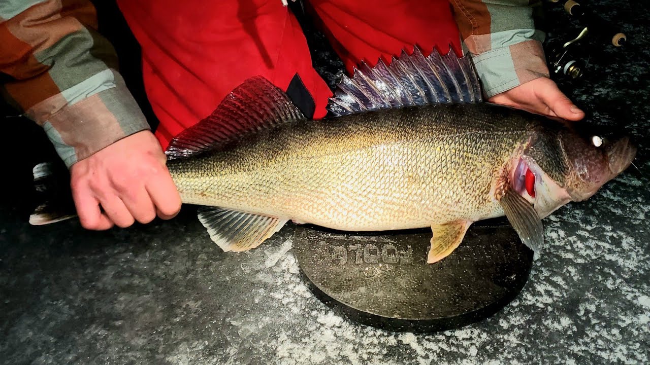 НЕ ДЕЛАЙТЕ ЭТОГО!# - НЕОБХОДИМОЕ СНАРЯЖЕНИЕ ДЛЯ ЛЬДА - ОБСУЖДЕНИЕ В МАГАЗИНЕ!!