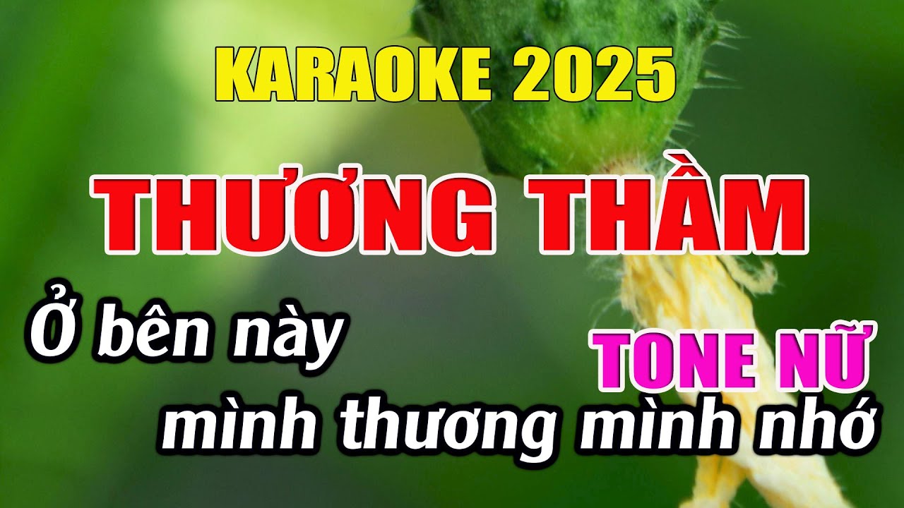 Thương Thầm Karaoke Tone Nữ Karaoke Giang Organ - Beat Mới