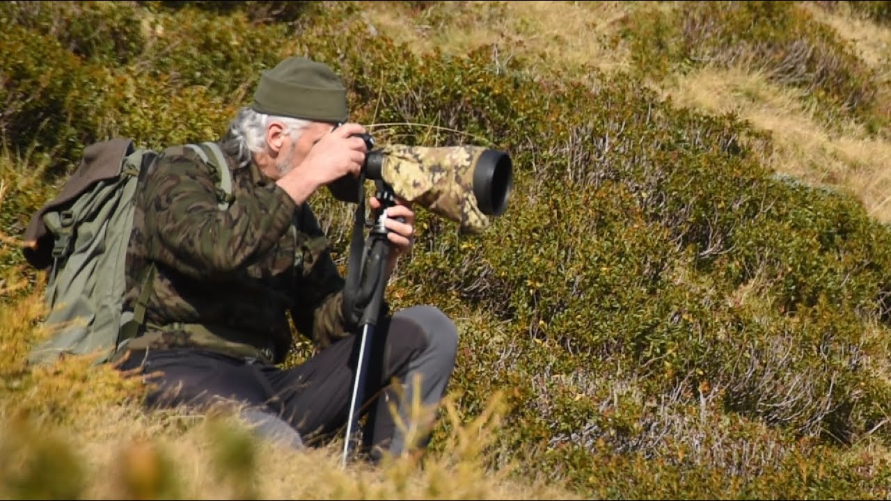 Deer, Foxes and Paragliding | WILDLIFE PHOTOGRAPHY IN ITALY [ENGLISH SUBTITLES]