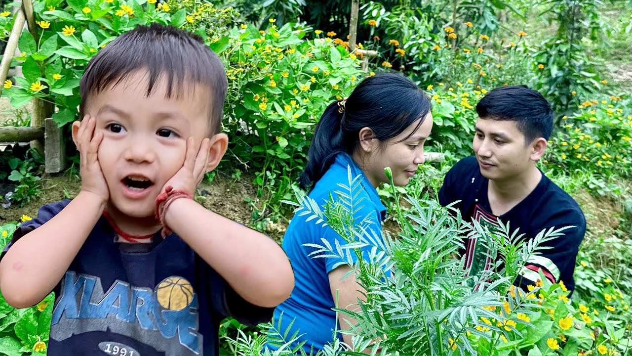 Love and responsibility for baby Bon - Pao prepares to help Huong repair the small garden