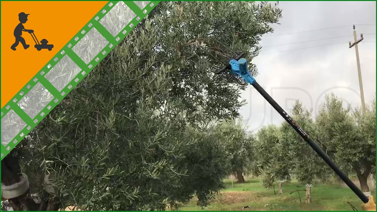 Peigne vibreur électrique à batterie Aima Twigo 12V - Vidéo de démonstration