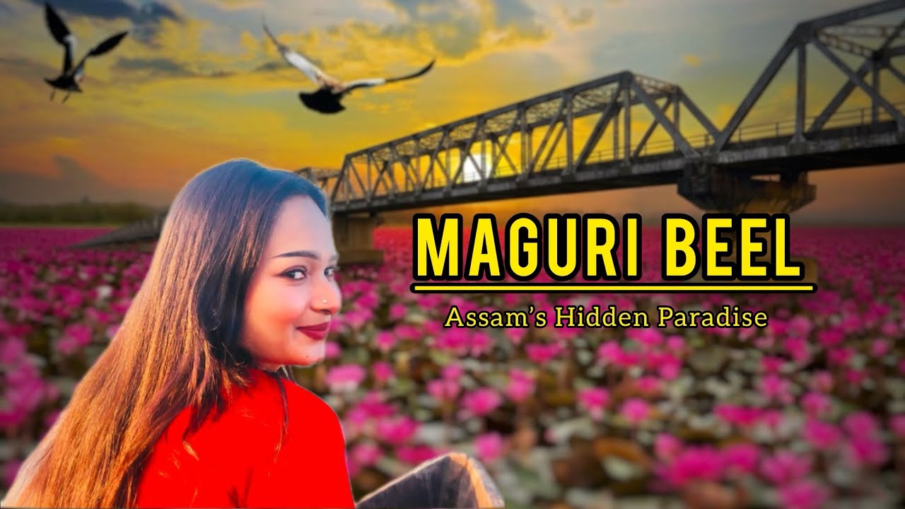 Maguri Beel | Assam’s Hidden Paradise 🌸🕊️ | Boat Ride, Pink Water Lilies & Migratory Birds