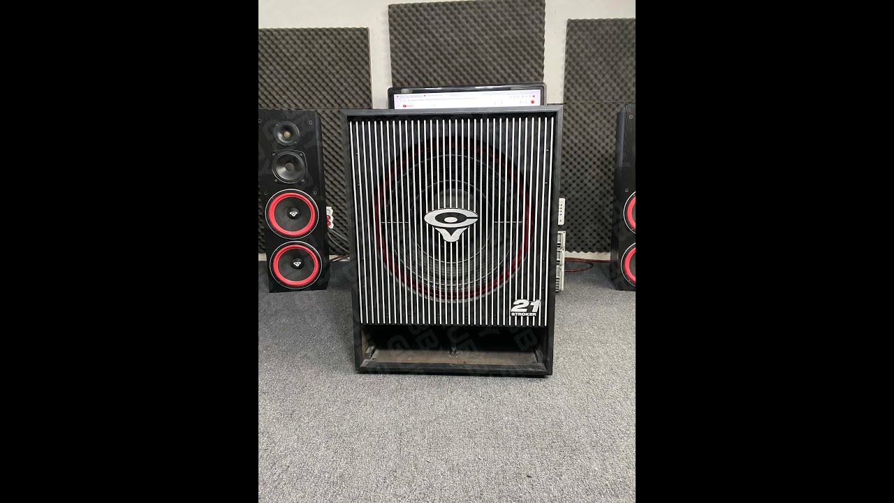 Cerwin-Vega! CVHF A21S --- (part 1/1)