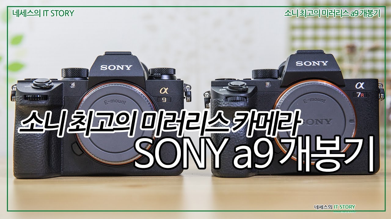 소니 a9  최고의 미러리스 카메라 개봉기와 외형