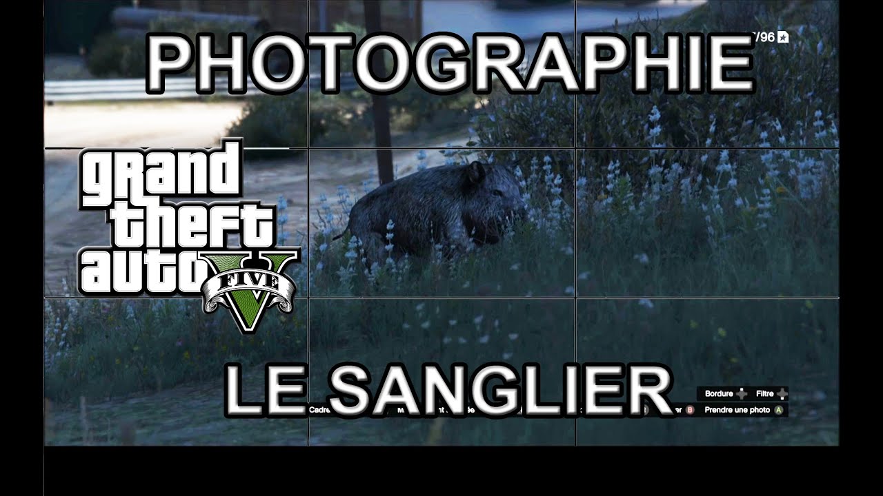 [GTA V - Photographie animalière] Le Sanglier