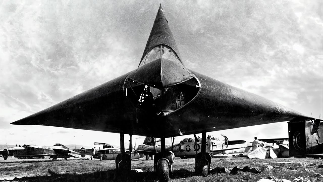 Revolution in Flight: DM-1 Lippisch Glider