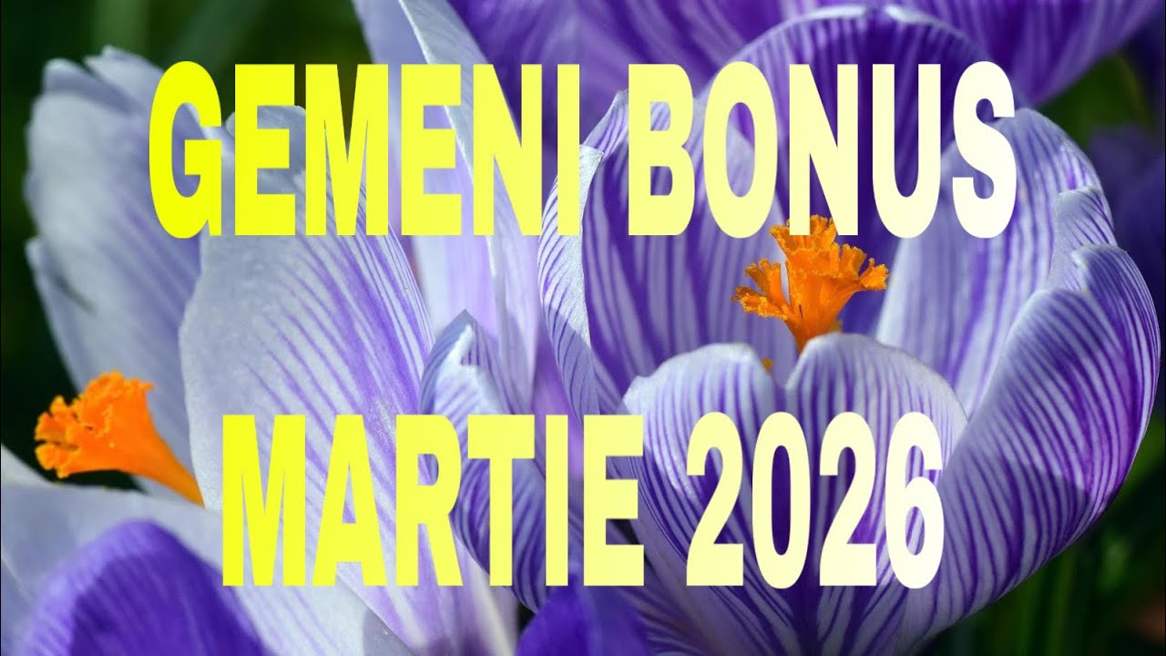 GEMENI♊BONUS MARTIE2026 FACI INTELEGEREA CU PUTERILE …..CEREȘTI SI AJUNGI LA TOT CEEA CE ITI DORESTI