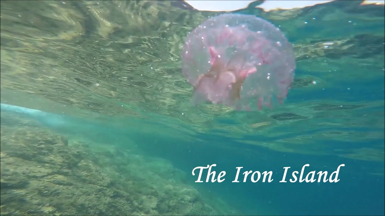 Elba Island UNDERWATER. Snorkeling for HIDDEN TREASURES.