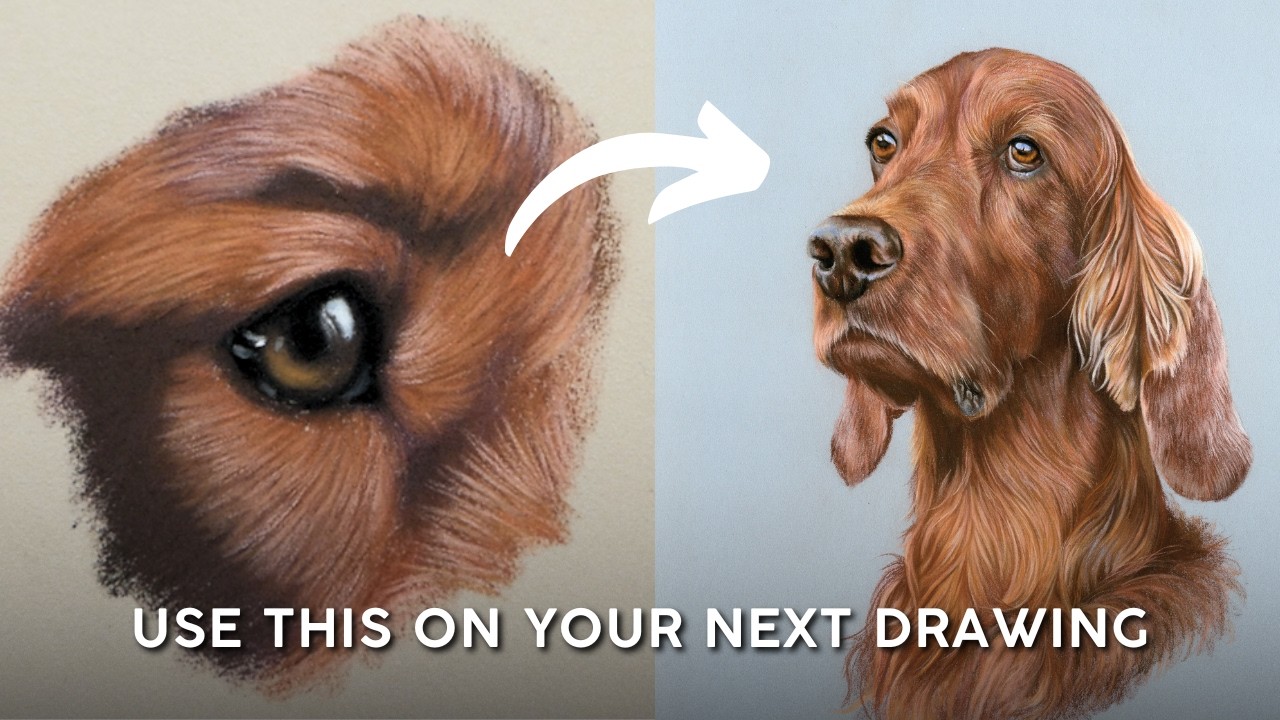 How to Draw Red Fur for Pet Portraits