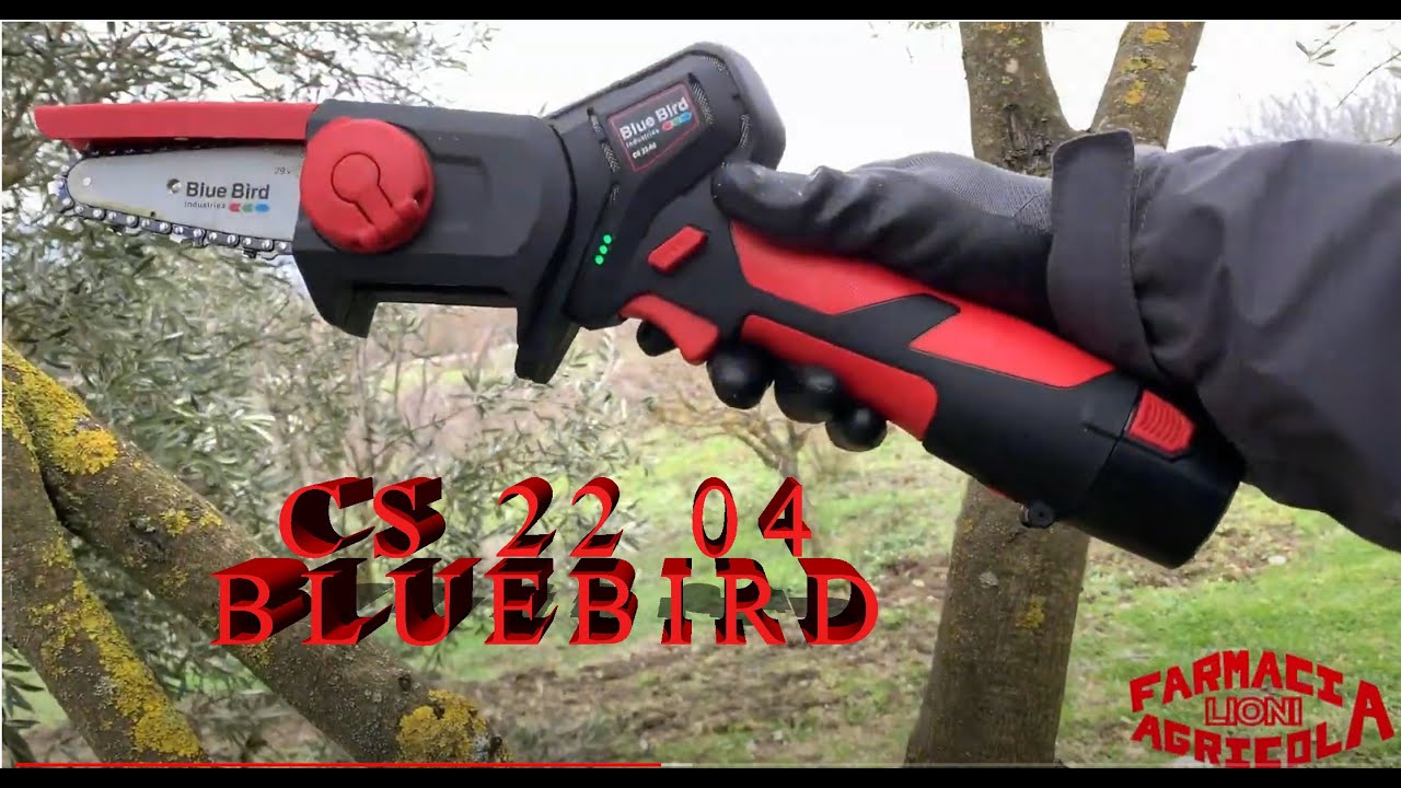 CS 22 04 PROVA IN CAMPO E RECENSIONE del mini potatore blue bird! Tipo GTA 26 Stihl e Gt RXE