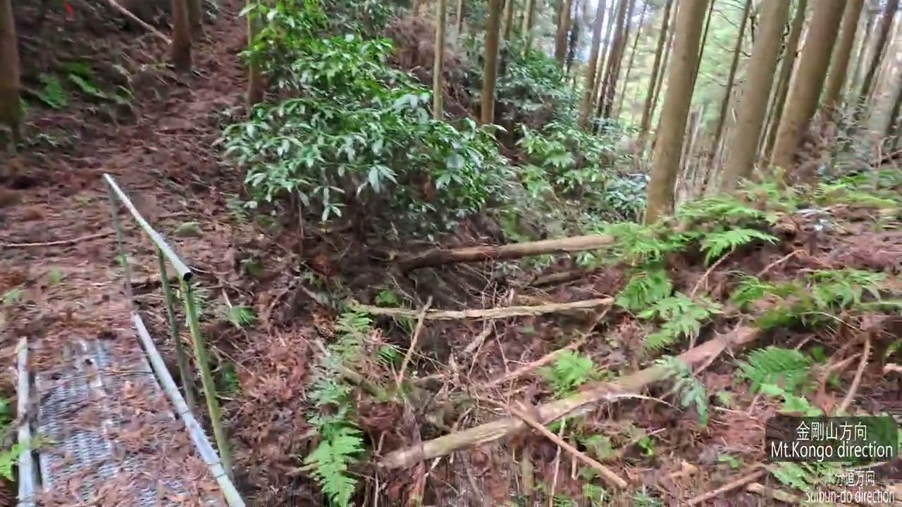 IK7ちょこっと登山・・金剛山・水分道方向その５