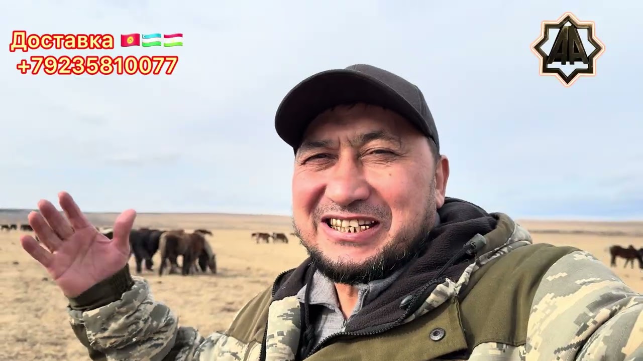 Г Абакан Дилмурад Хожи Йилқилари СУЮНЧИ. 11.02.2026 йил