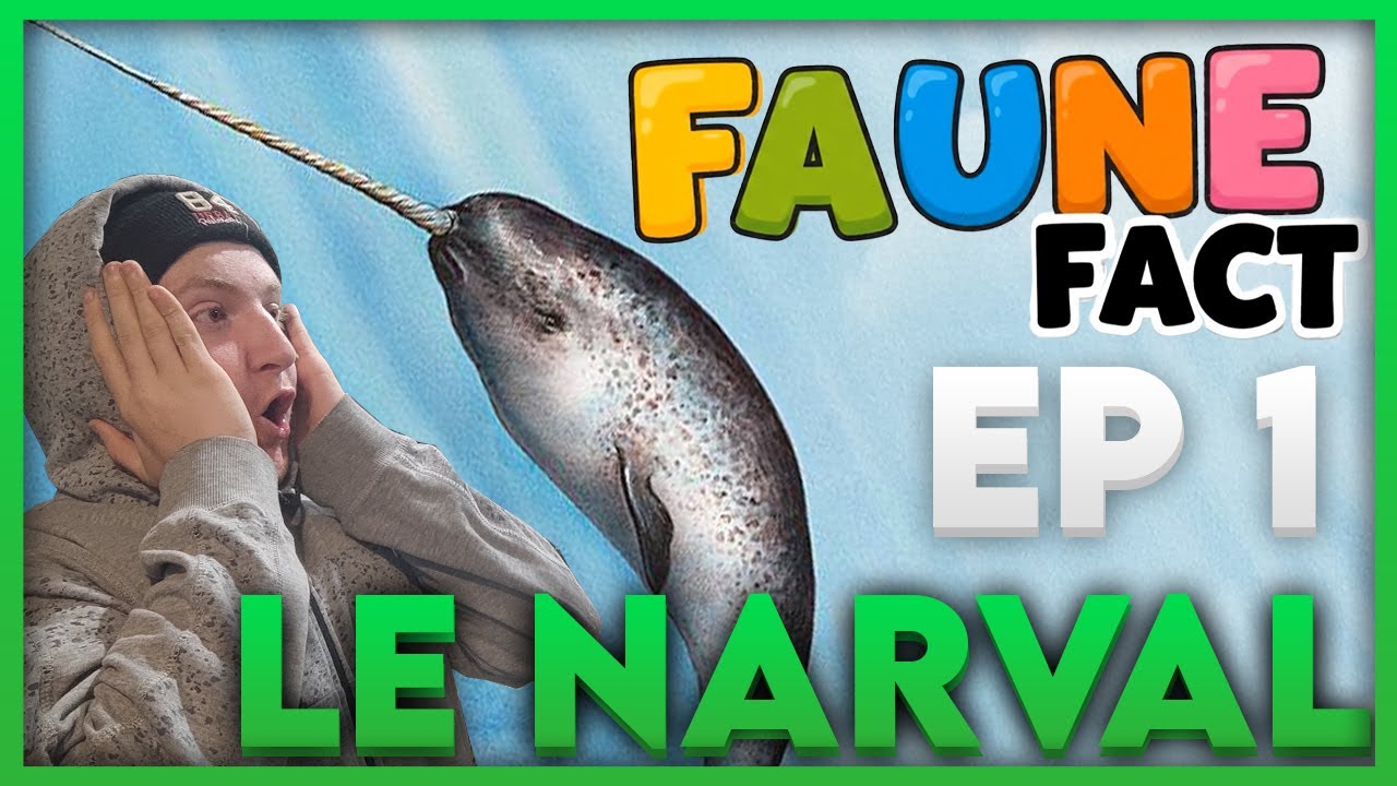 FAUNE'FACT épisode 1 | LE NARVAL
