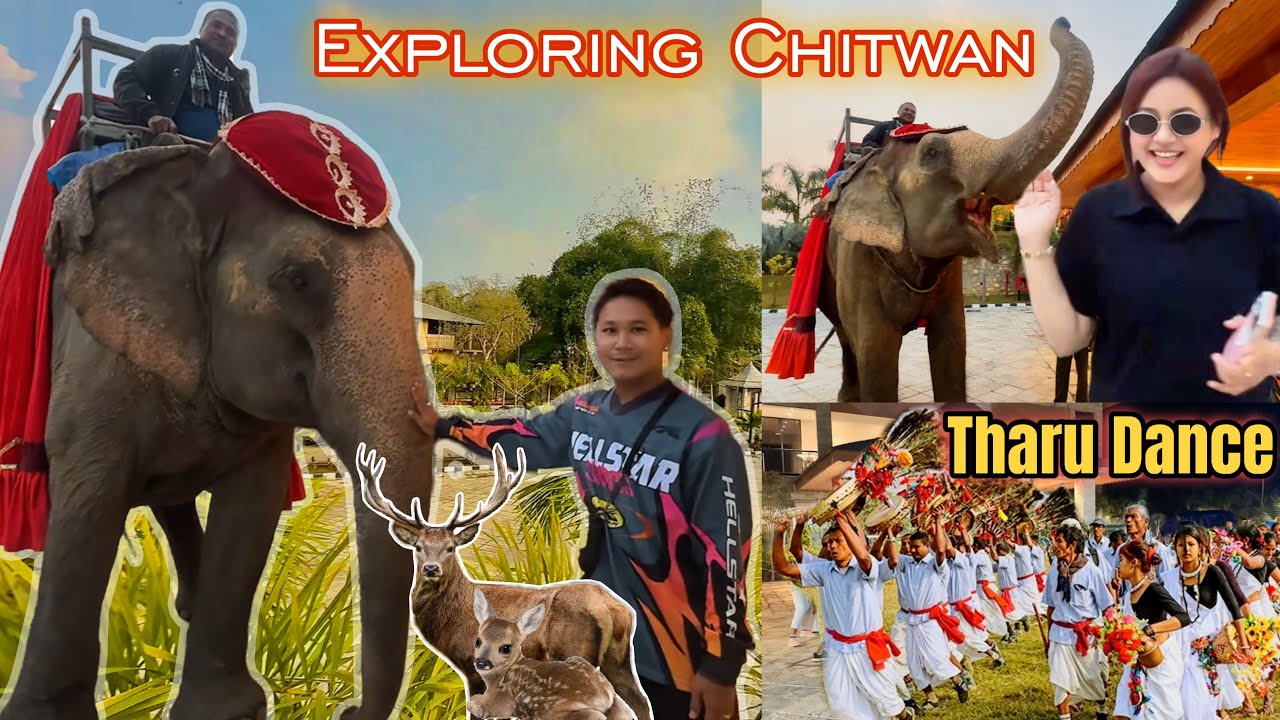 Chitwan Was WILDER Than I Thought… 🐘😳