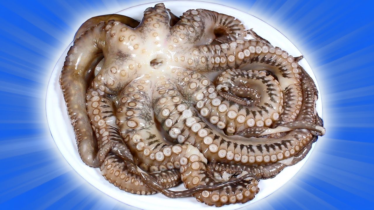 Пробую Дорогие Морепродукты. Клеммы Вонголе. Гигантский Осьминог. Как Готовить Осьминога?
