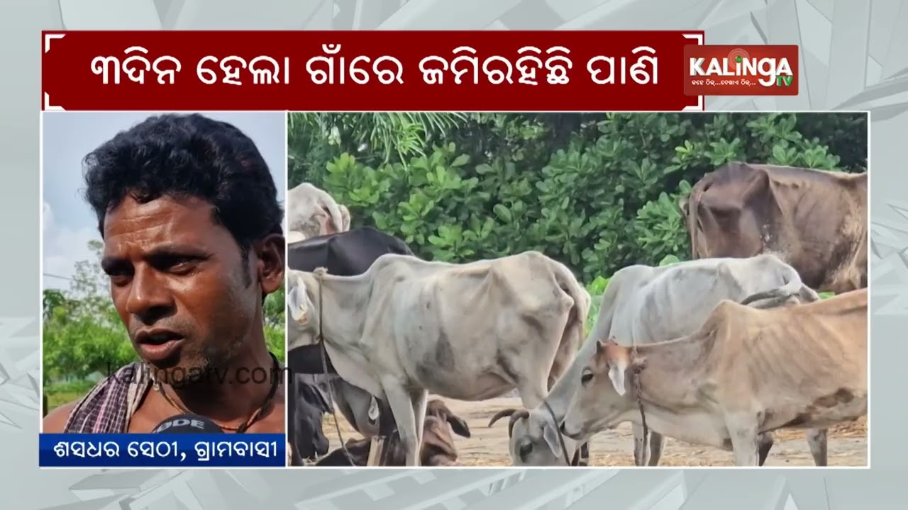 Bhadrak: Floodwater inundates Santara village in Chandbali block, residents in panic | Kalinga TV