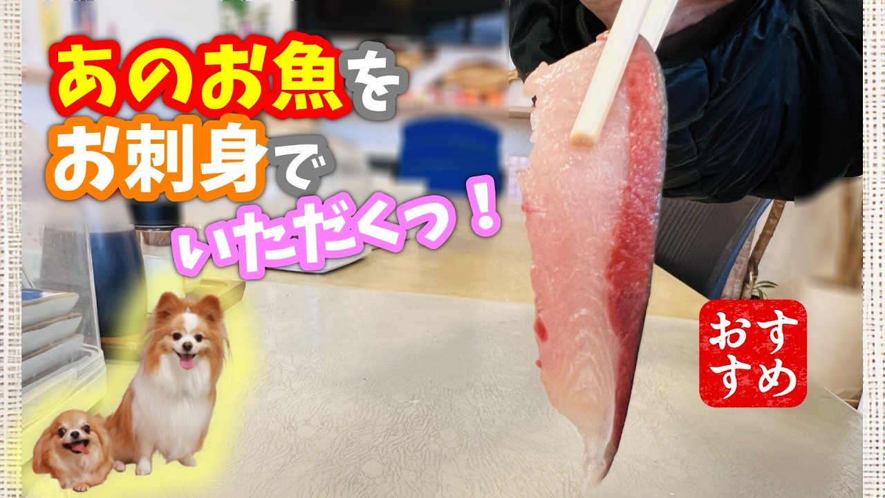 姫路まえどれ市場に〇〇のお刺身を食べに行く！【Go west～ころ介より愛を込めて①】