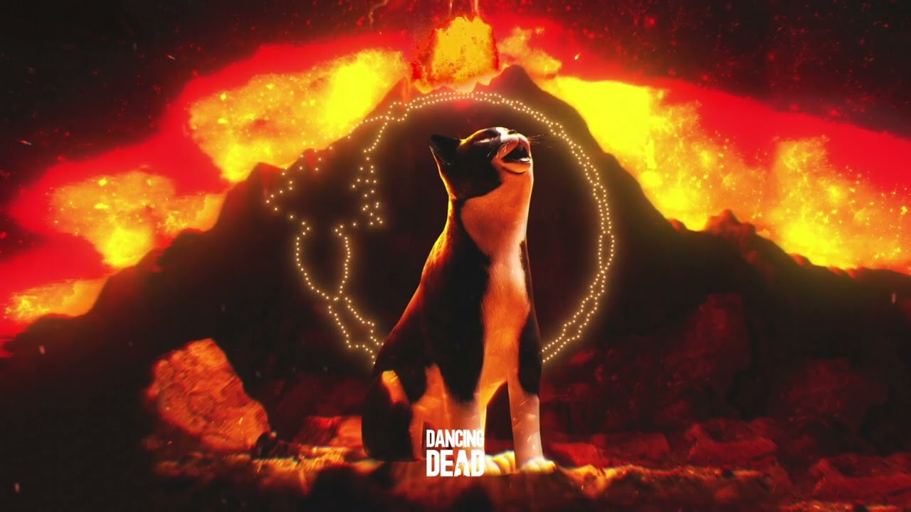 Dubscribe - Meow Drop