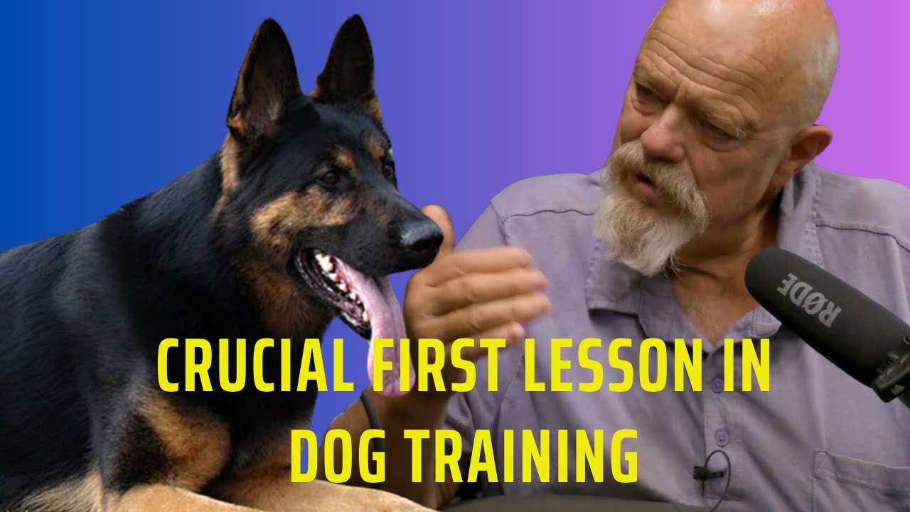 Crucial First Lesson In Dog Training