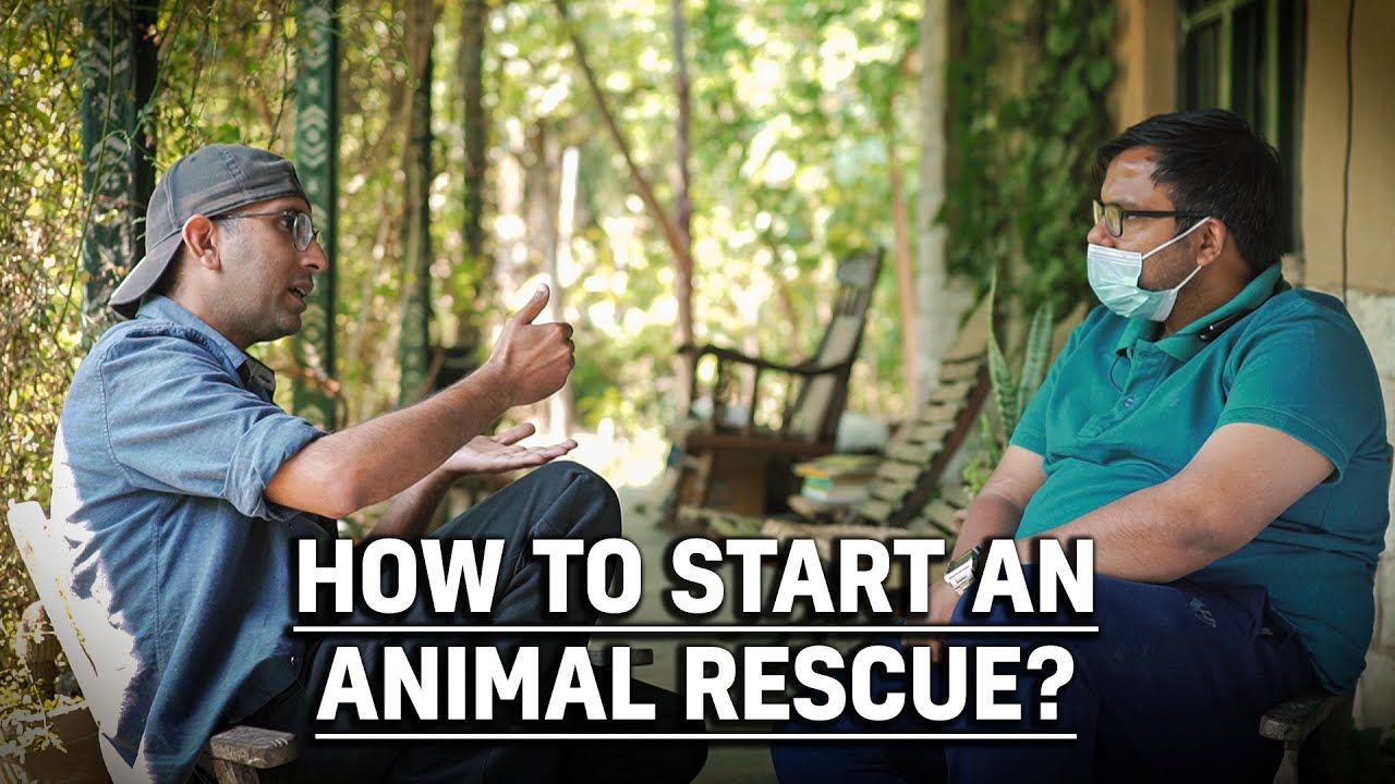 Animal rescue shelter kaise khole | How to set up an animal rescue NGO in India