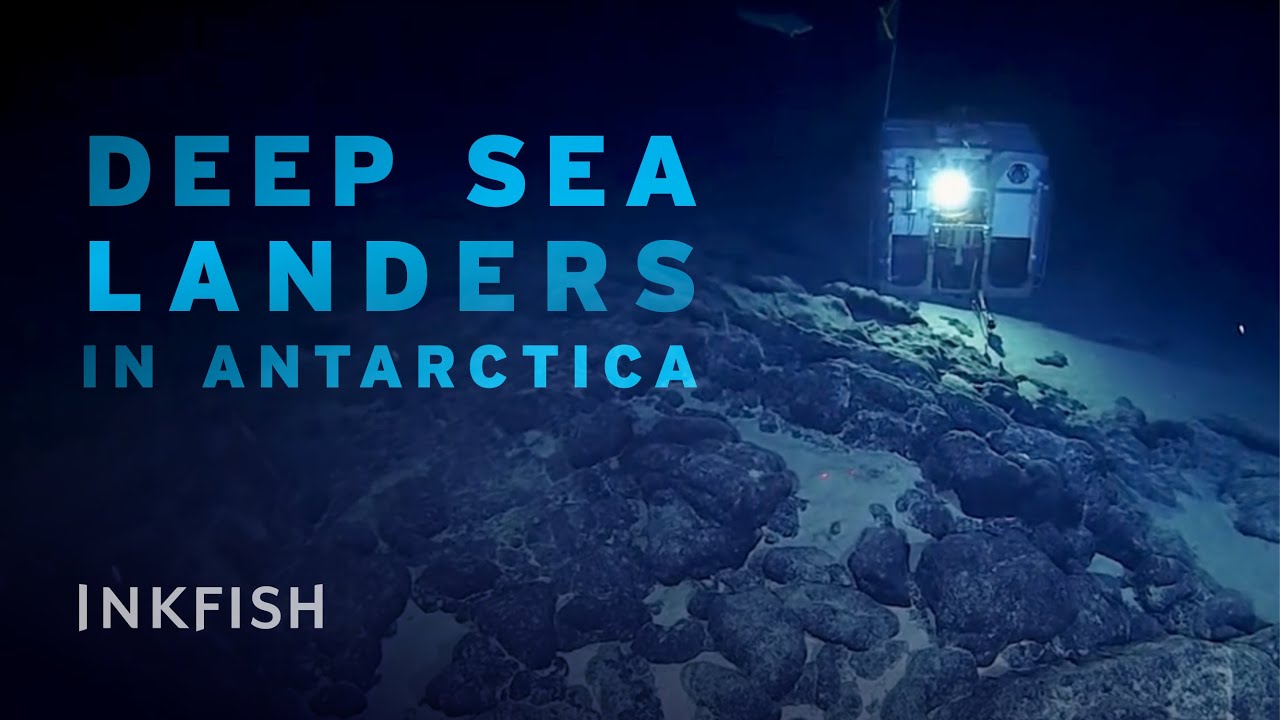 Long-Term Deep-Sea Monitoring in Antarctica