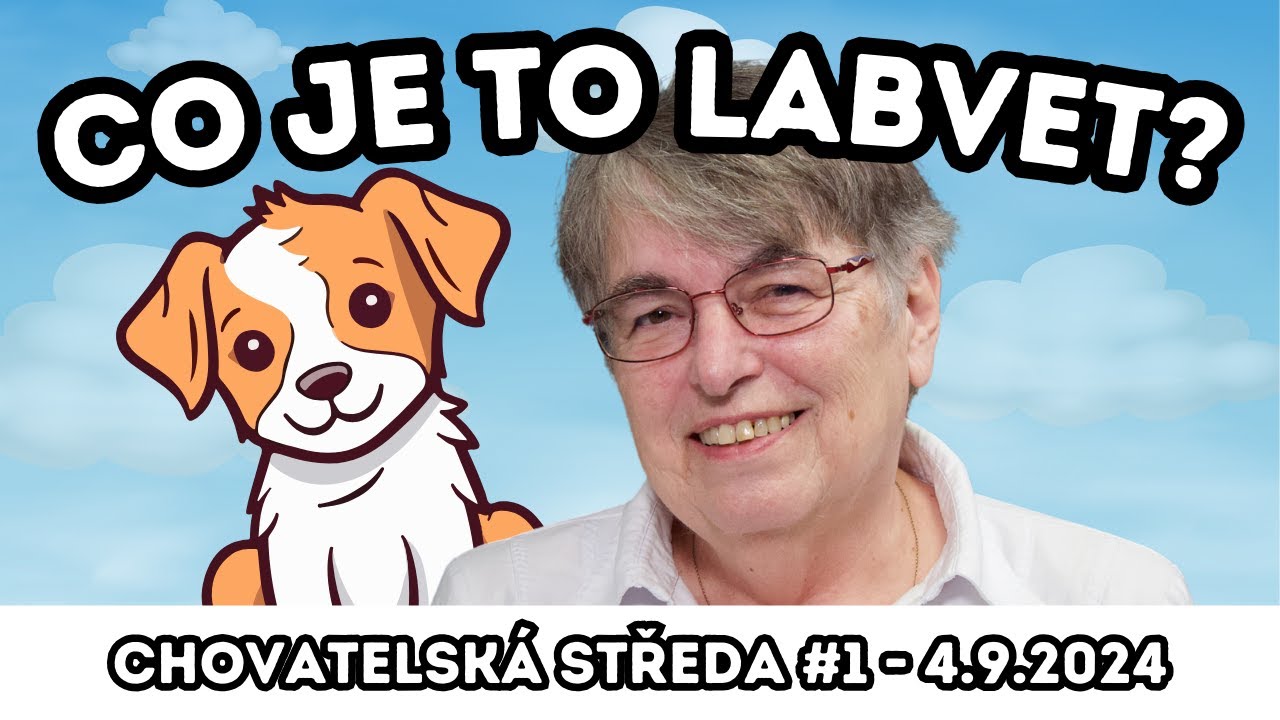 👩‍⚕️CO je to LABVET?👩‍⚕️| Chovatelská středa #1