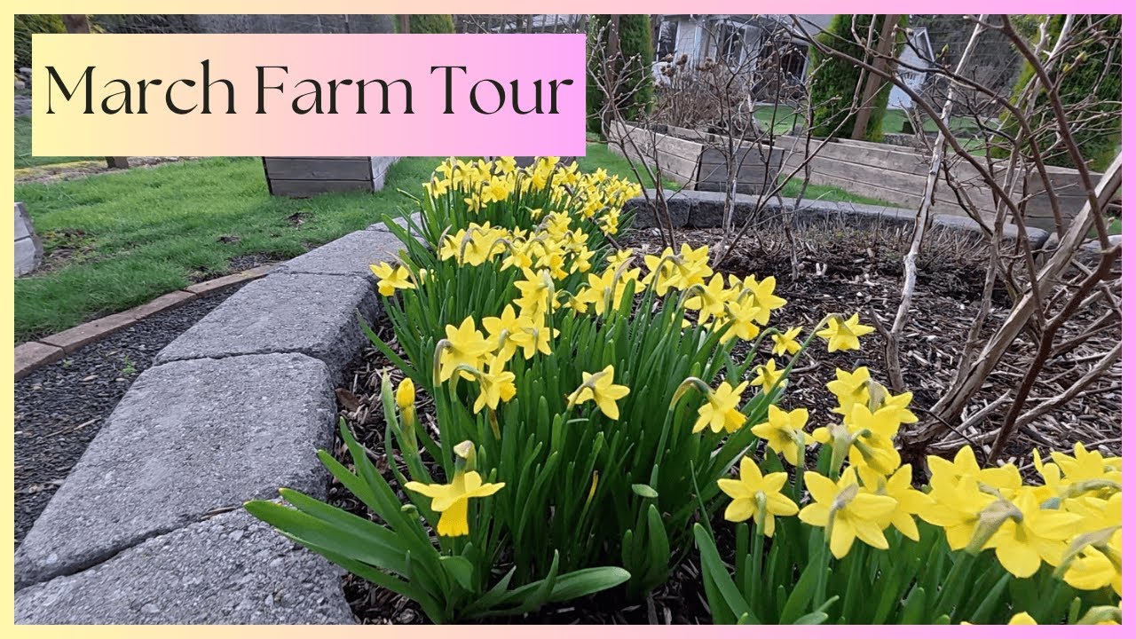 March 2025 Garden & Greenhouse Tour | PNW Flower Farm (Zone 8b)