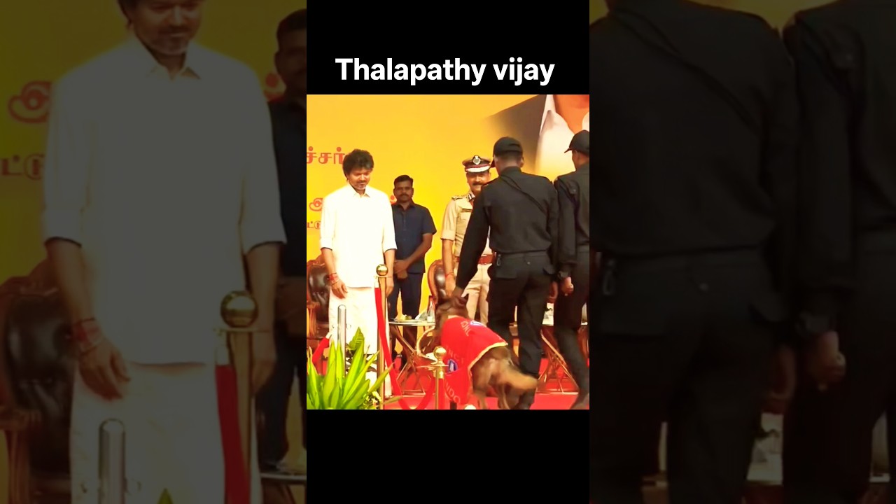 Vijay Thalapathy Anna | Cm of Tamil Nadu C Joseph Vijay #motivation #vijay #thalapathy #upsc #shorts