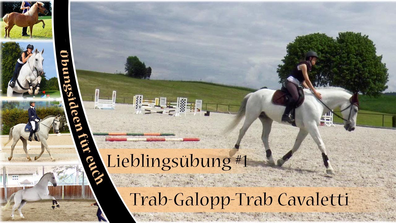 Lieblingsübung #1: Trab-Galopp-Trab Cavaletti