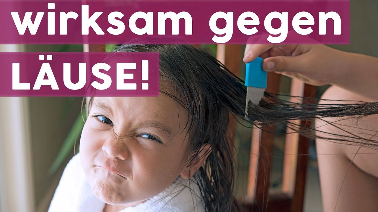 5 Hausmittel gegen Kopfl&auml;use 🧒| MOM-LIFE