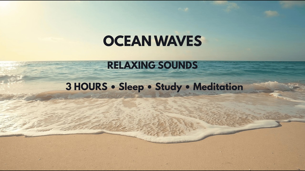 Ocean Waves Beach Ambience 🌊 Relaxing Sounds for Sleep, Study & Focus - 3 Hours