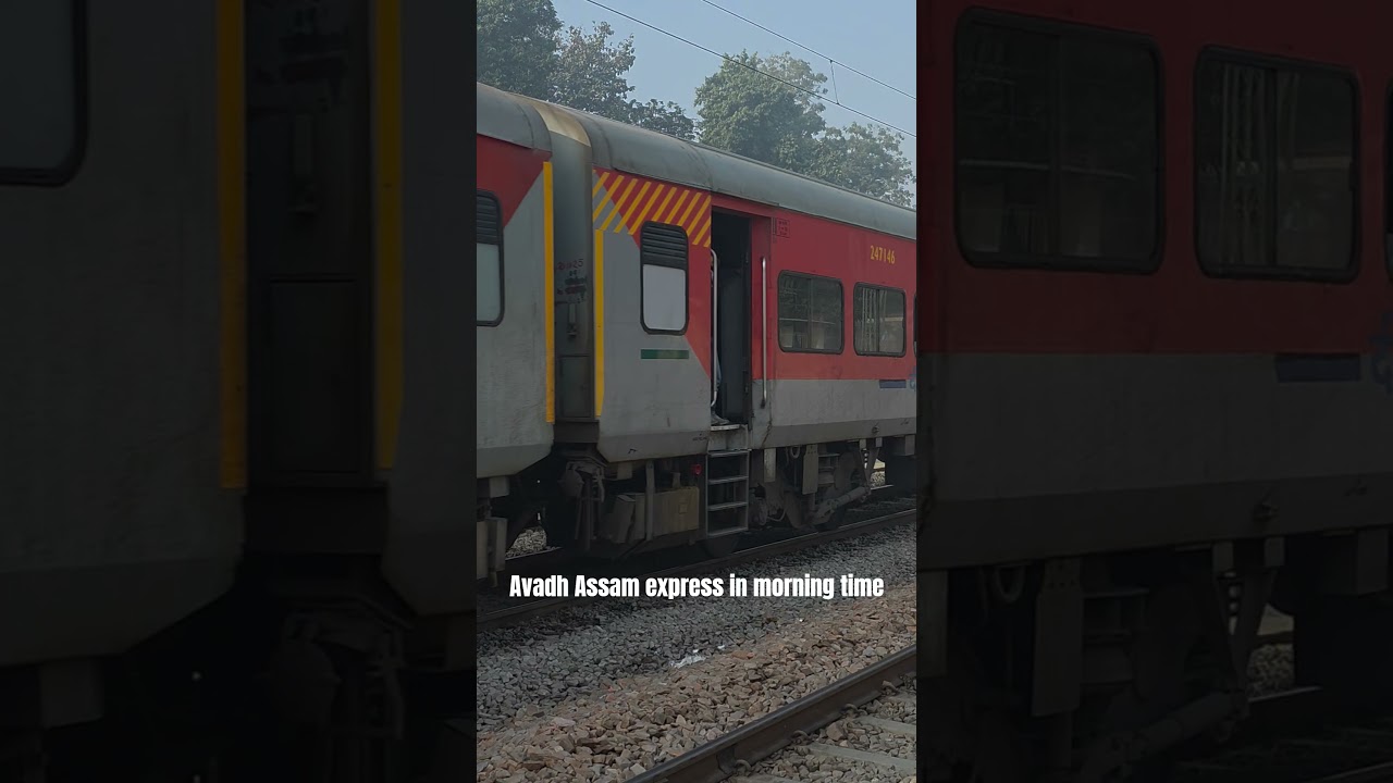 Avadh Assam express in morning time|rail fanning|Vande Bharat train|railfanning|trending#train #vlog