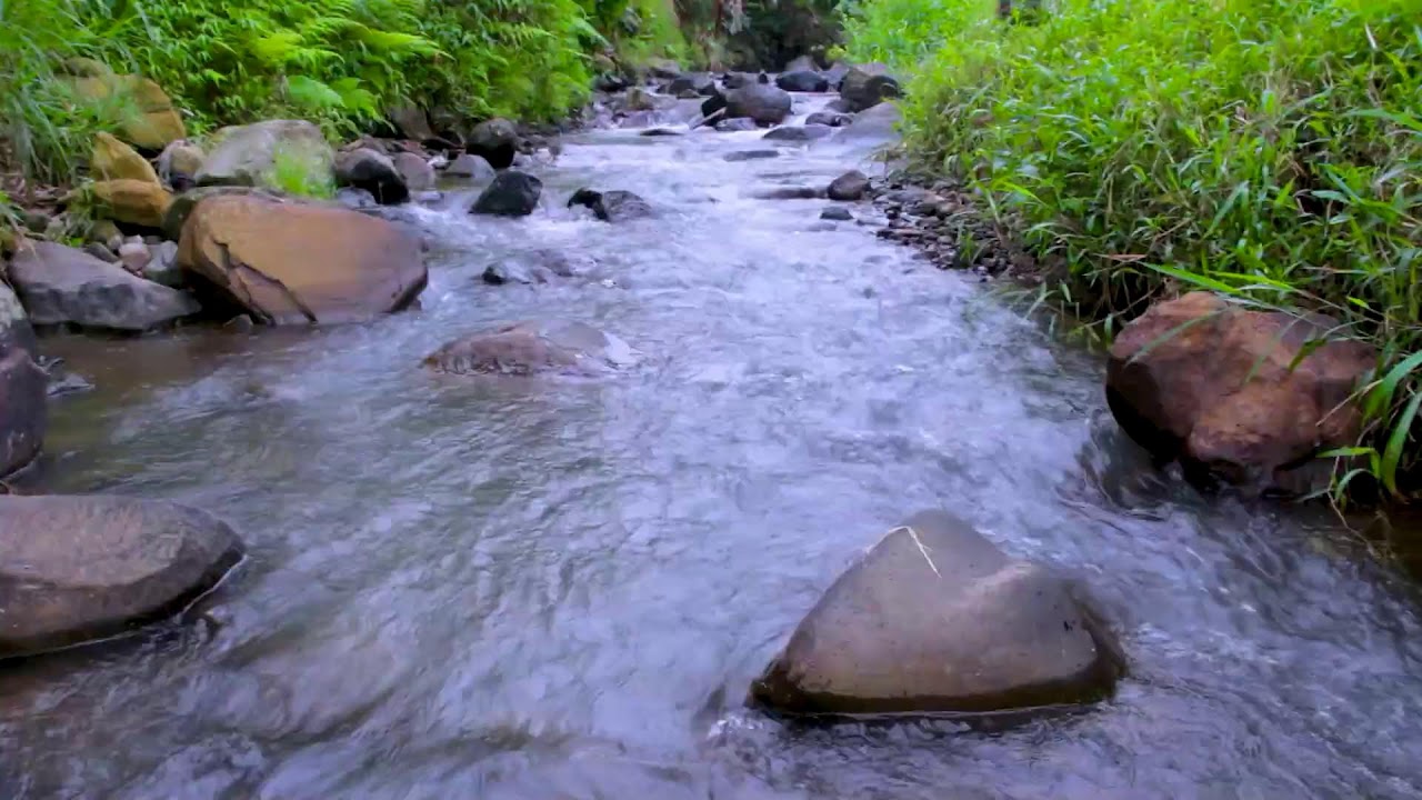 Mountain River Serenity Flow | Natural Water Sounds for Better Sleep Tonight
