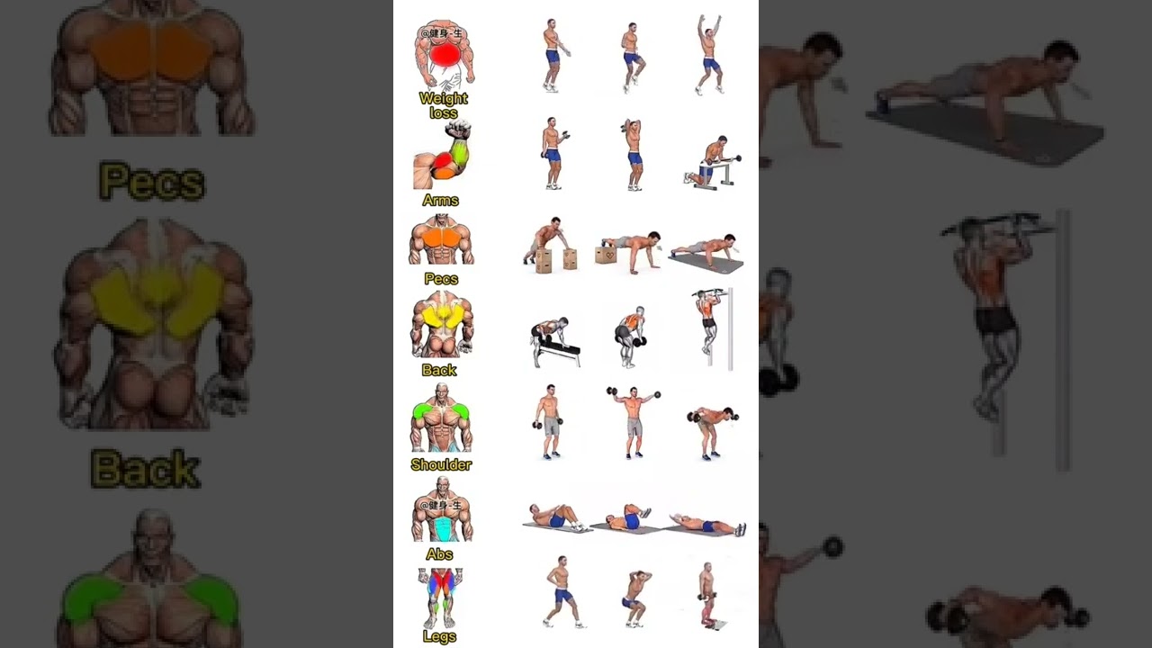 weight lose, arms, pecs, back, shoulder, abs full body workout #ytshorts