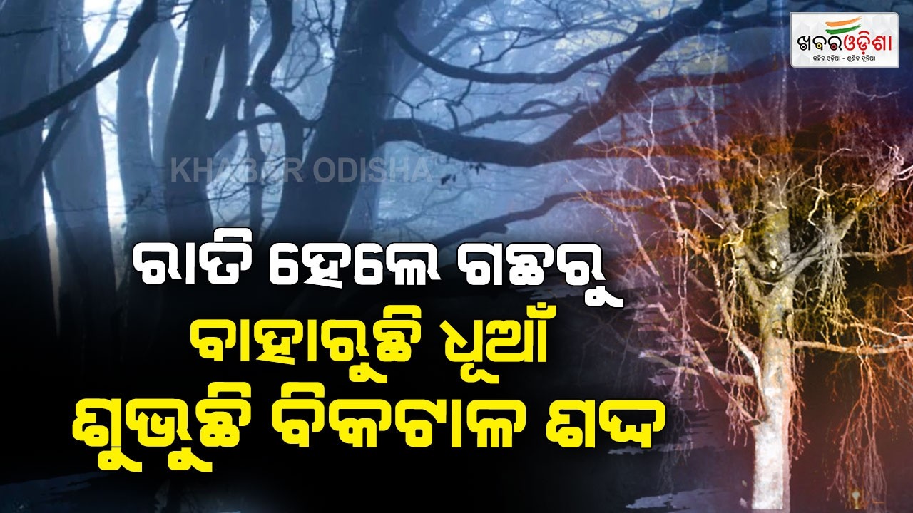 ଅନ୍ଧବିଶ୍ୱାସରେ ଆତଙ୍କିତ ରାୟଗଡା ବାସୀ; ଭୂତପ୍ରେତ ଭୟରେ ଅନ୍ଧାରରେ ରହୁଛନ୍ତି ଆଦିବାସୀ ସଂପ୍ରଦାୟ | Khabar Odisha