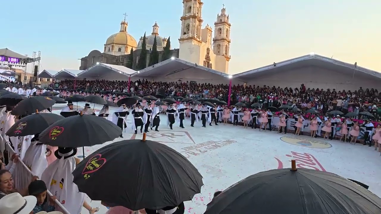 CAMADA CUBA GRANDE 2026