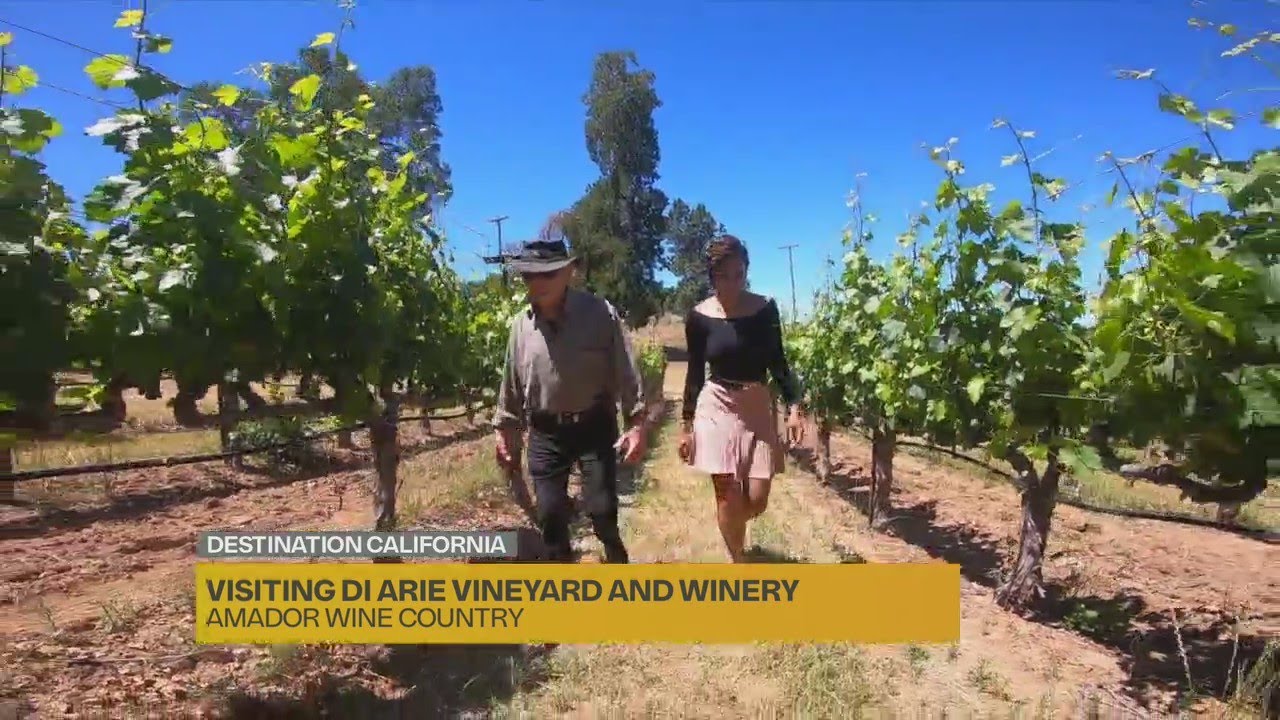 Visiting Di Arie Vineyard and Winery