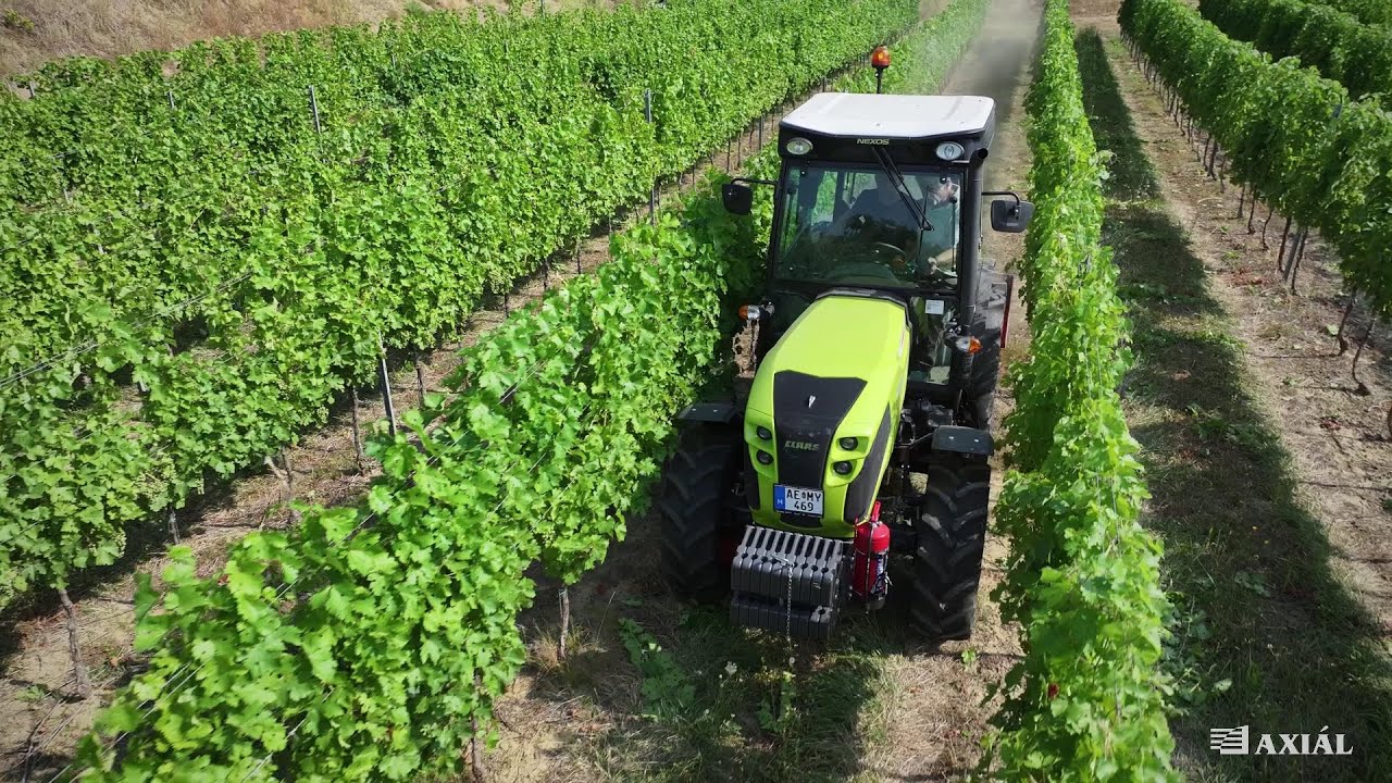 CLAAS NEXOS 240 L a szálkai szőlősorok közt
