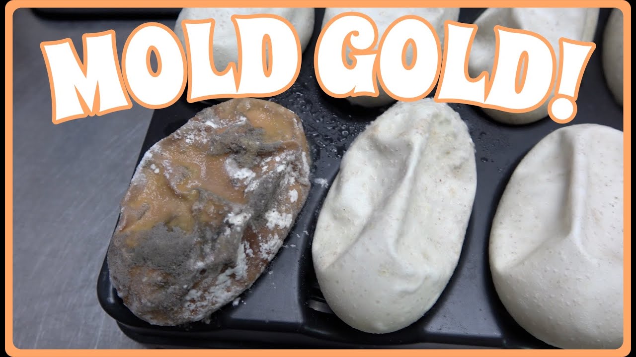 Mold Gold Ball Python Egg Cutting!