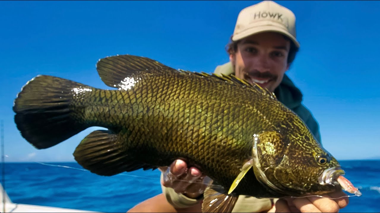 How To Catch Triple Tail