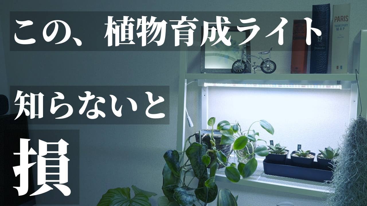 【おすすめ】コスパ最高！バータイプ植物育成LEDライト「GL-T5 L530」レビュー！育成棚で使える！観葉植物や育苗、水耕栽培、室内家庭菜園、簡易温室に！T5型Samsung「LM281B+PRO」