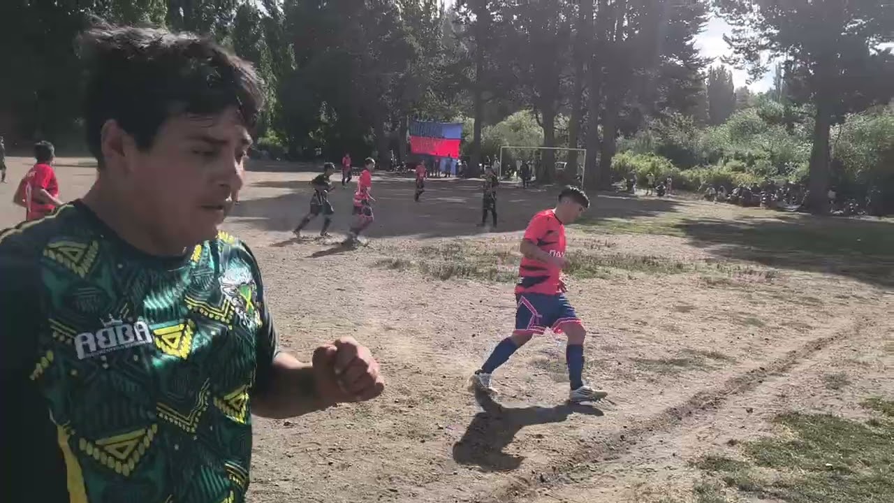 Tigre vs jamaica primer tiempo