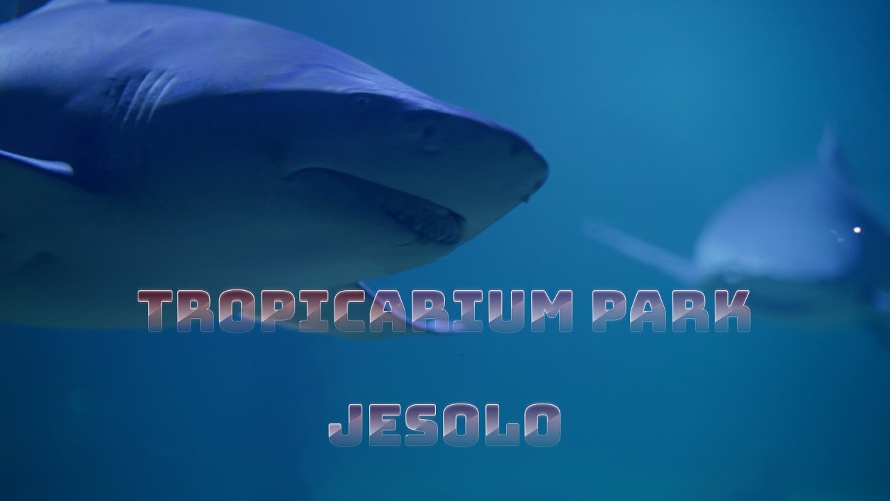 Tropicarium Park Jesolo 2026