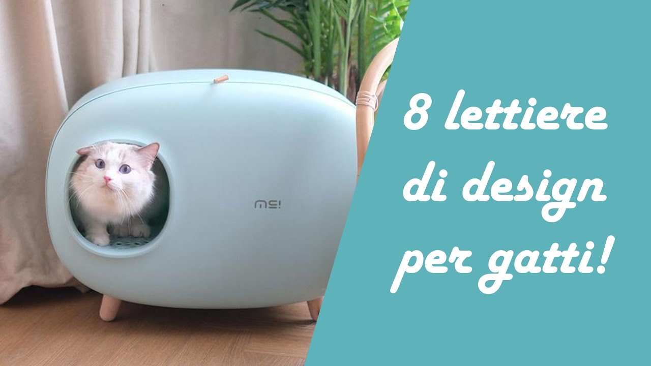 8 lettiere di design per gatti!