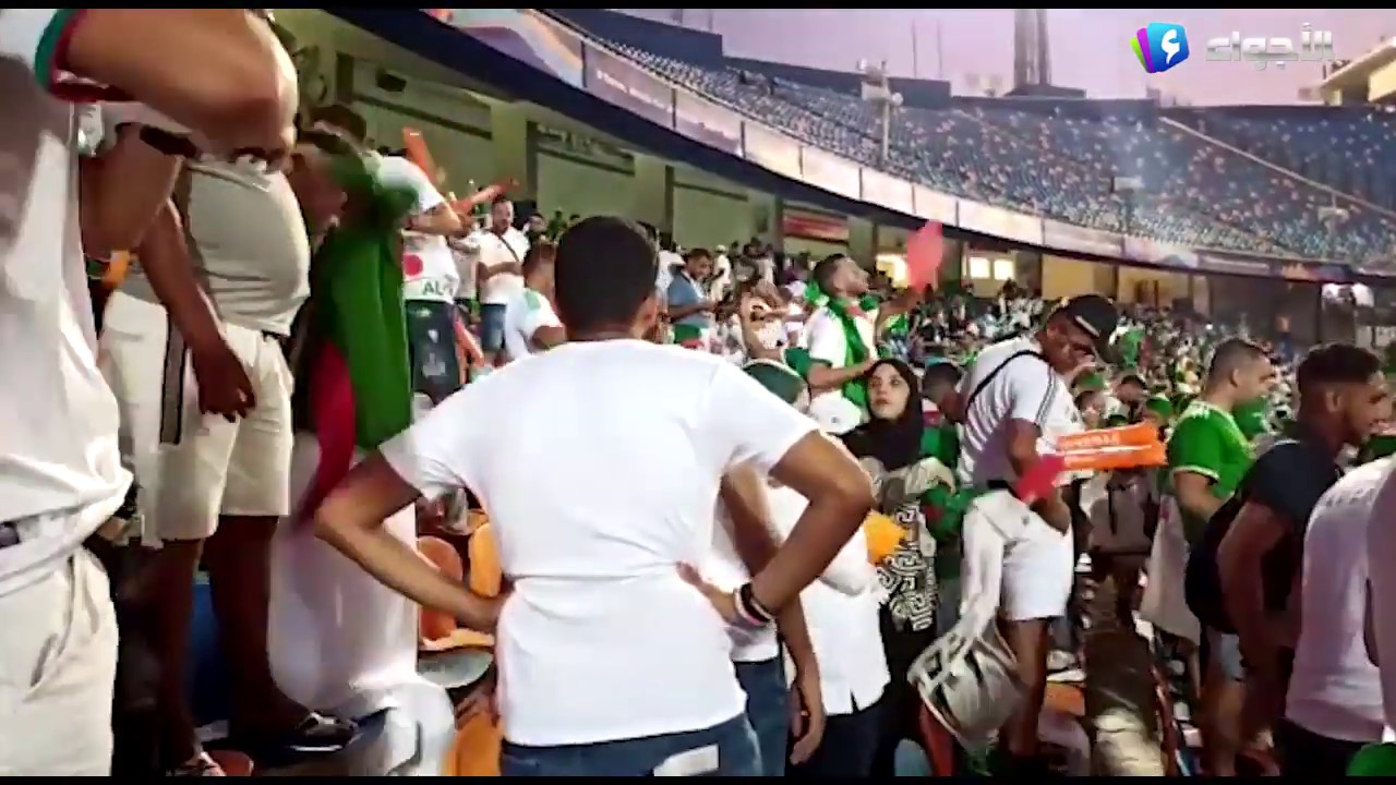 شاهد الأجواء التي صنعاه أنصار الخضر فوق مدرجات ملعب القاهرة أثناء مباراة نيجيريا