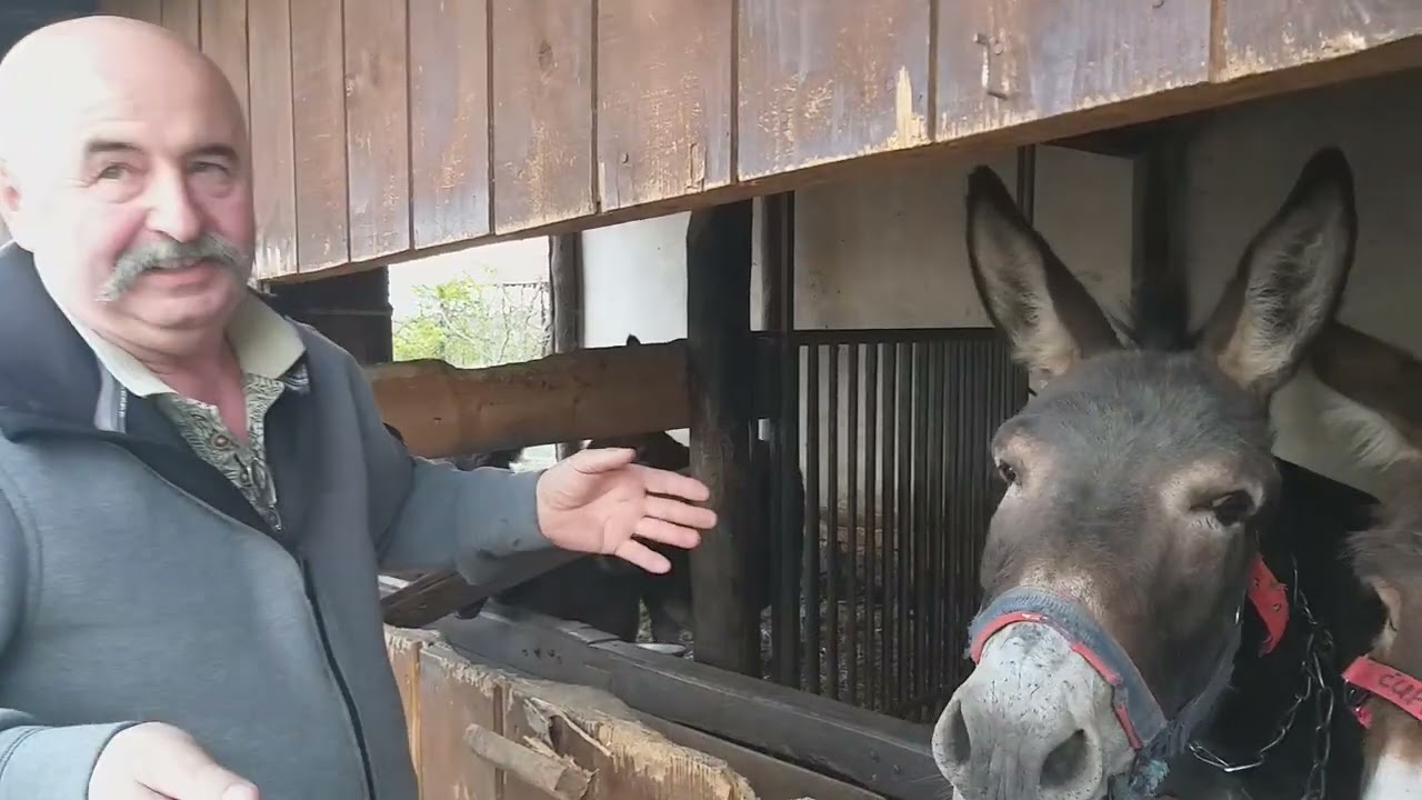 Elitna farma magaraca Bobovo