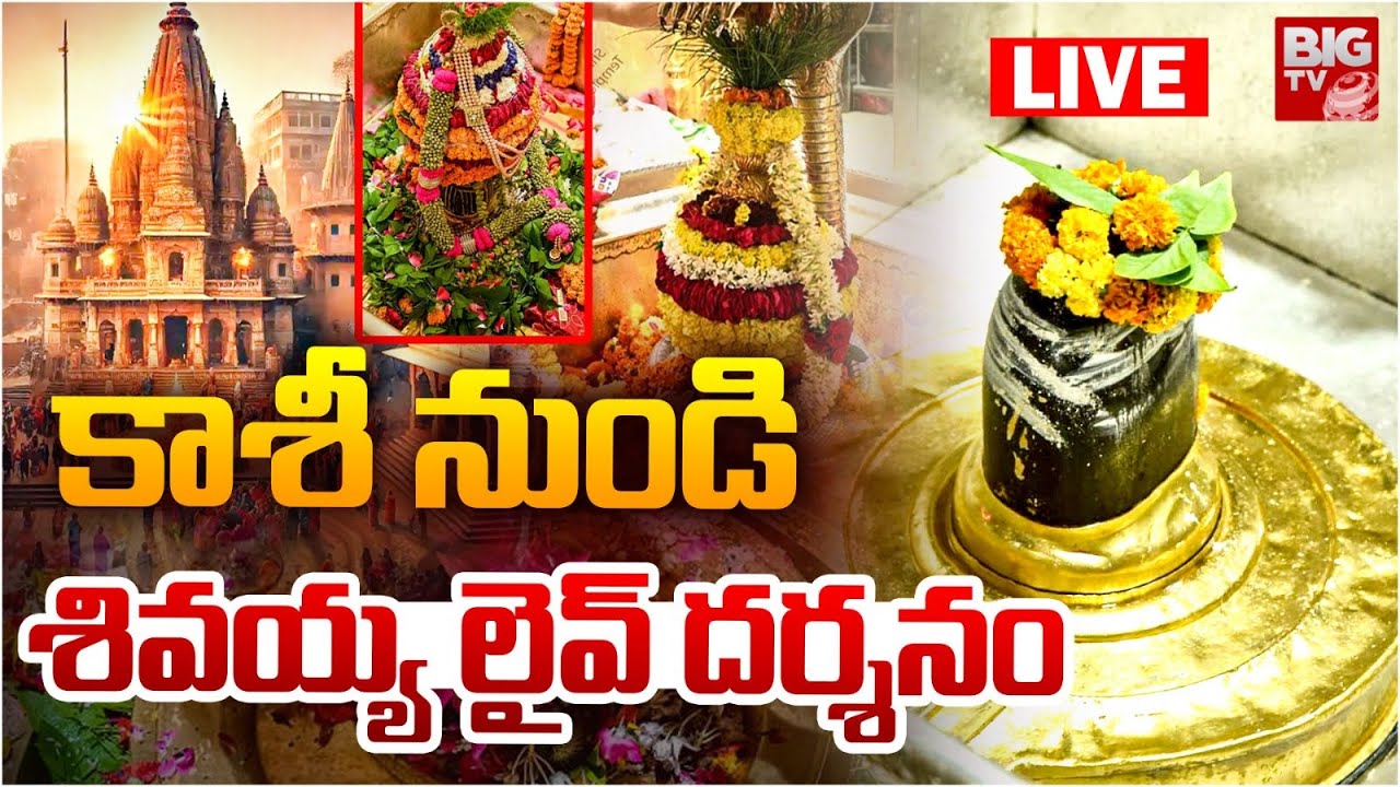 Kashi Vishwanath Darshan LIVE  | కాశీ నుండి శివయ్య లైవ్ దర్శనం | Lord Siva Darshan | BIG TV