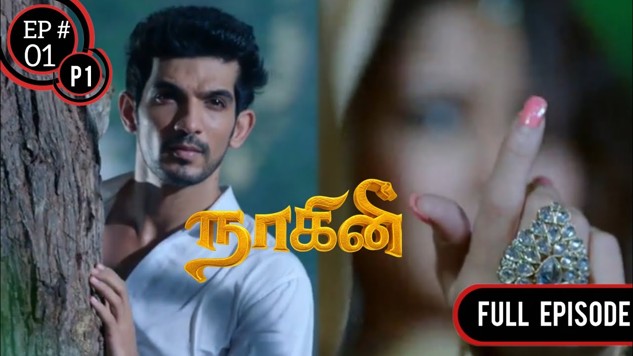 😶‍🌫️🌙 மர்மமான கனவு | 🔒🕰️ மறைக்கப்பட்ட கடந்த காலம் | Naagini 1 🐍| Tamil – Ep 1 / P1 📺 🥵| ZN Shows❤️‍🔥
