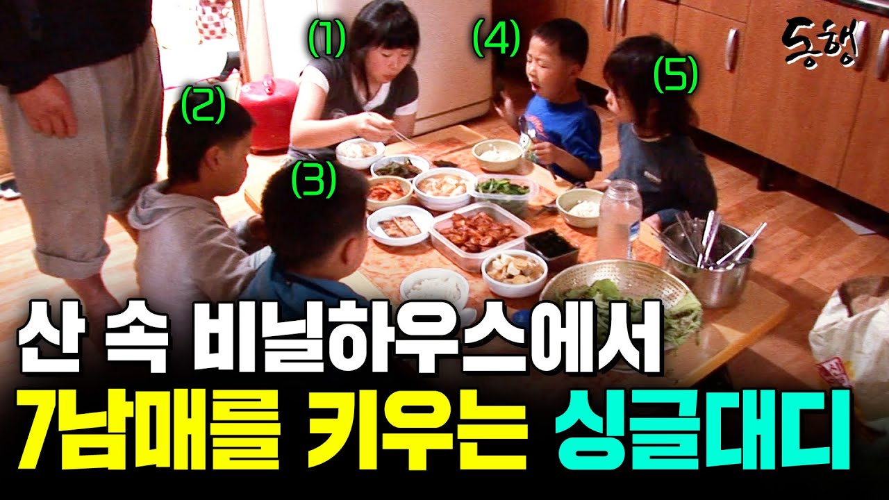 43살에 비닐하우스에서 7남매를 홀로 키우는 아빠. 가난의 설움으로부터 아이들을 지켜주고 싶다.[현장르포동행] | KBS 2008.06.05