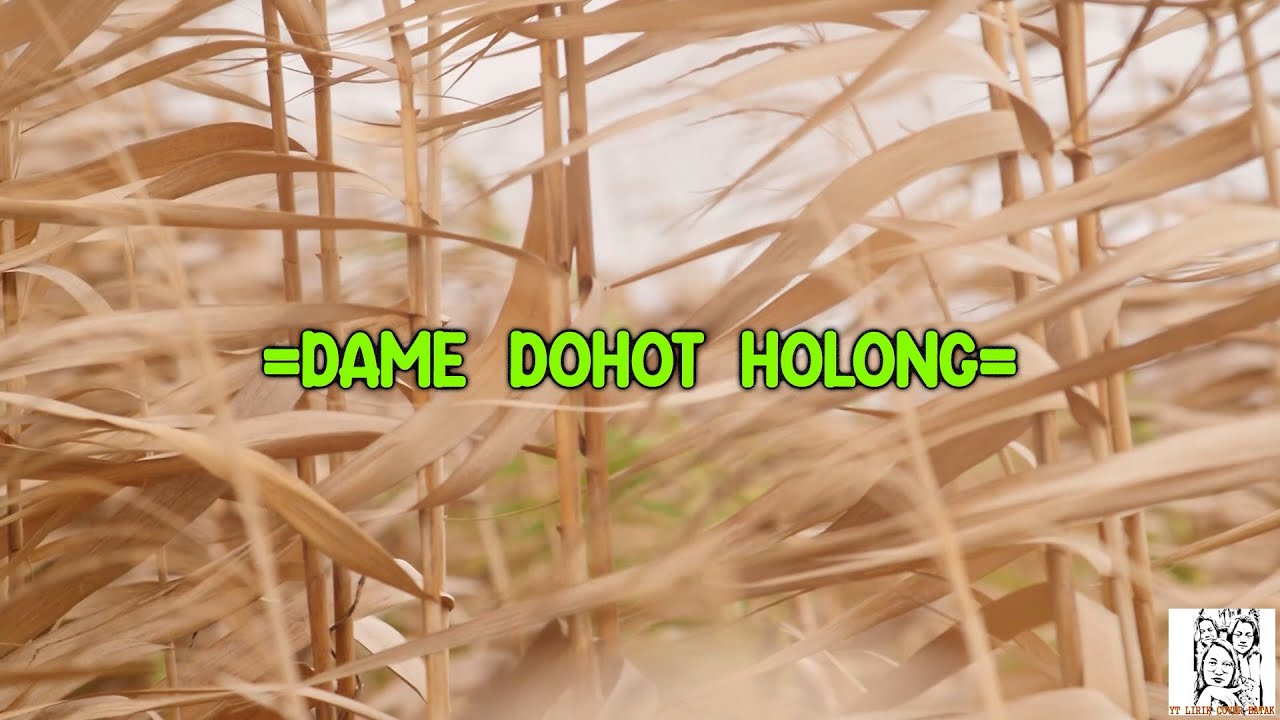 DAME DOHOT HOLONG